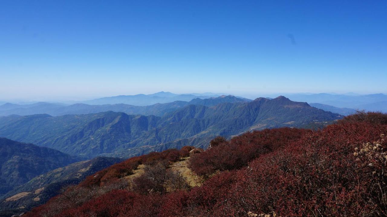 Chintapu Homestay In Ilam, Eastern Nepal ภายนอก รูปภาพ