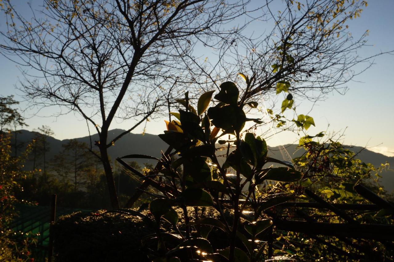 Chintapu Homestay In Ilam, Eastern Nepal ภายนอก รูปภาพ