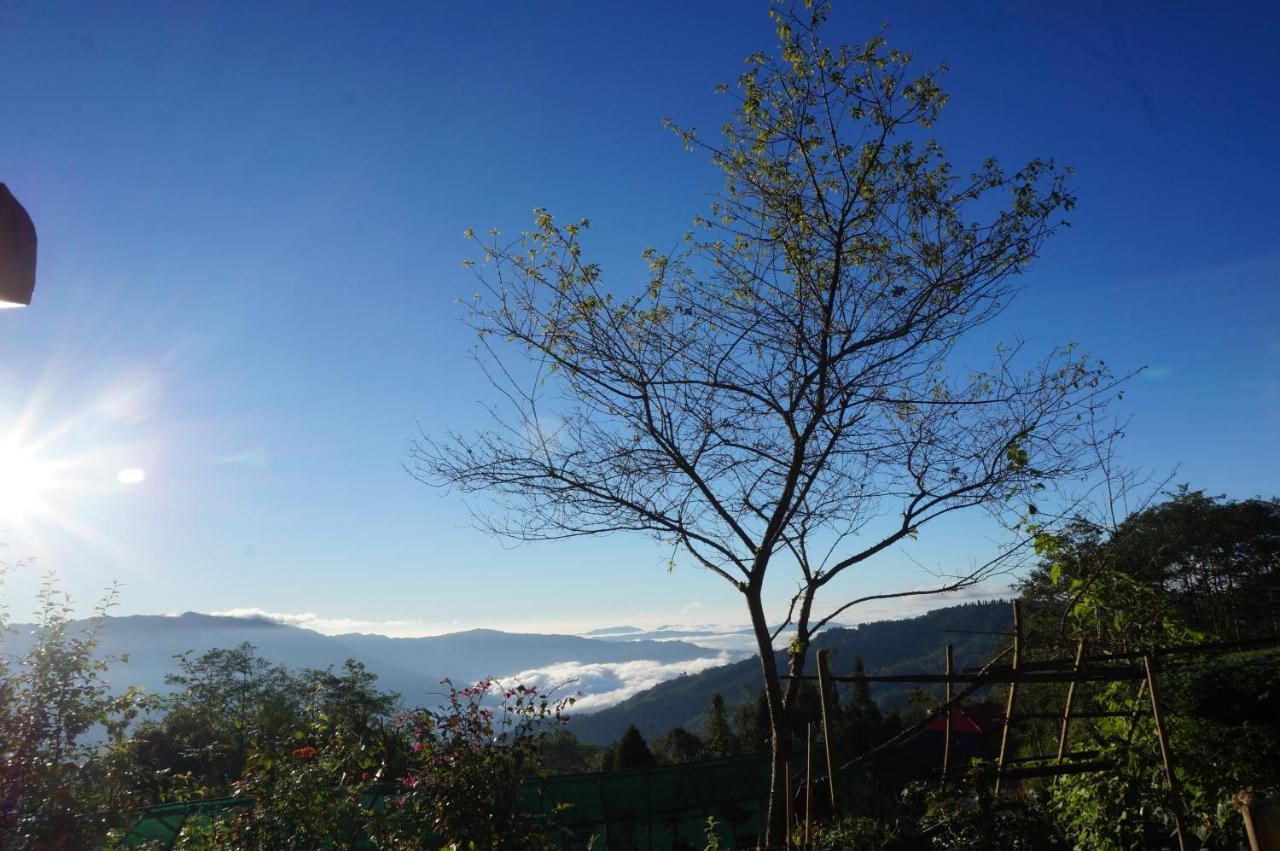 Chintapu Homestay In Ilam, Eastern Nepal ภายนอก รูปภาพ