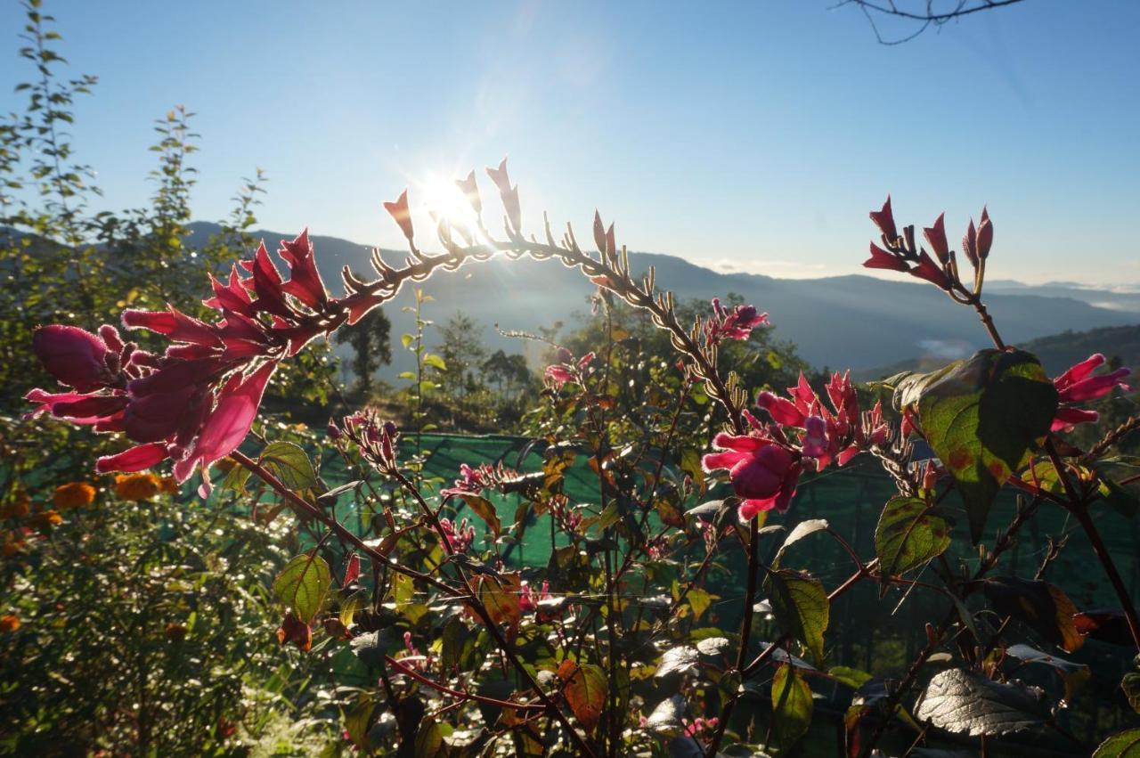 Chintapu Homestay In Ilam, Eastern Nepal ภายนอก รูปภาพ