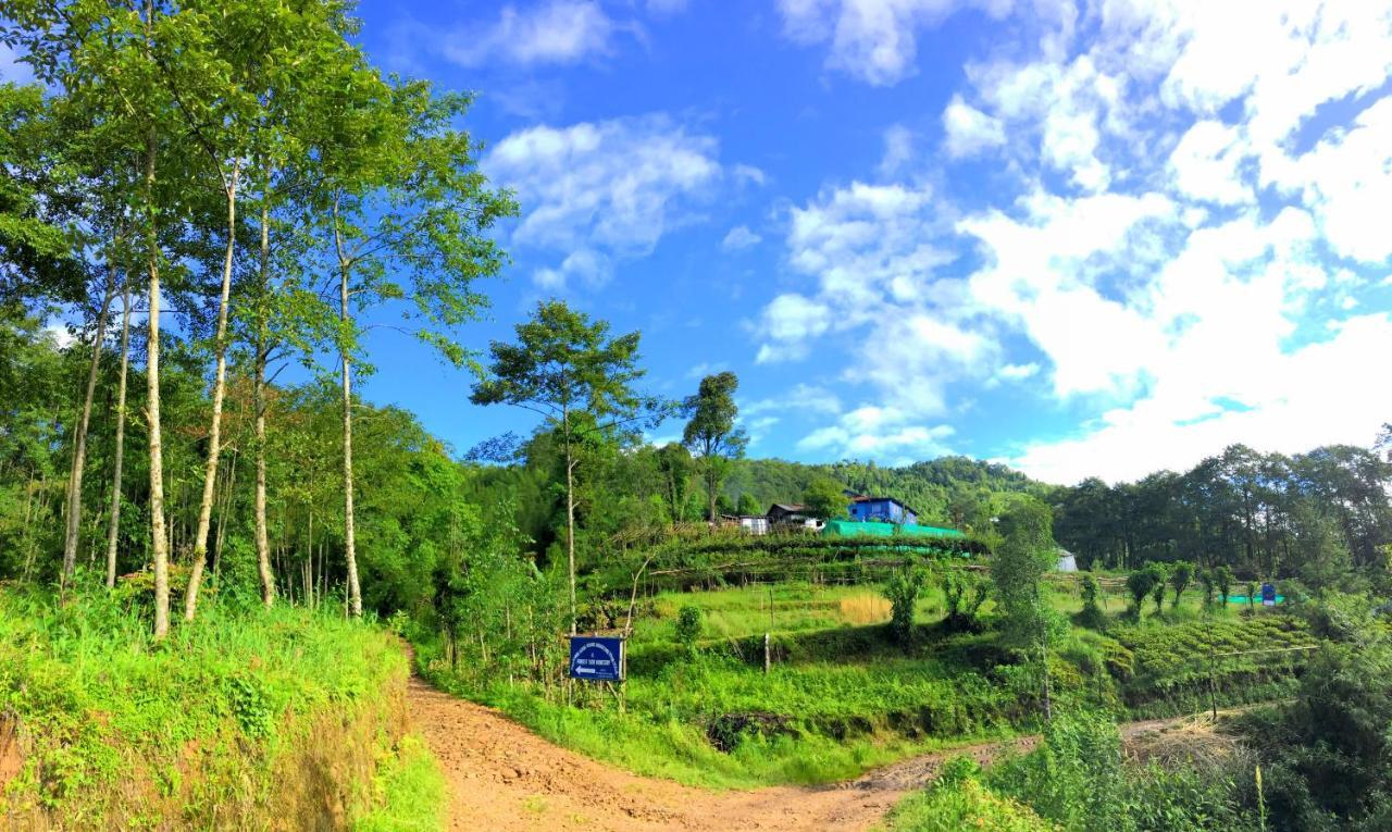 Chintapu Homestay In Ilam, Eastern Nepal ภายนอก รูปภาพ